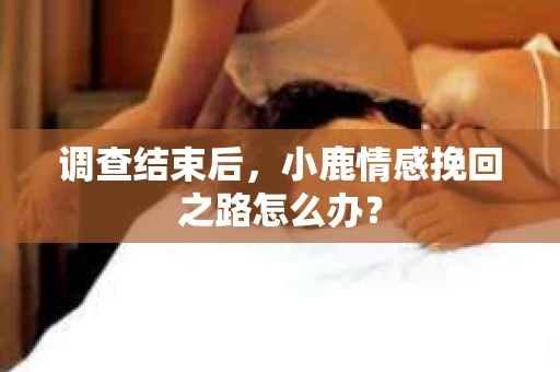 调查结束后，小鹿情感挽回之路怎么办？