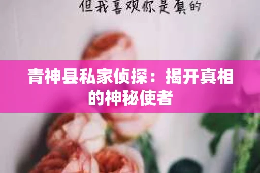 青神县私家侦探：揭开真相的神秘使者
