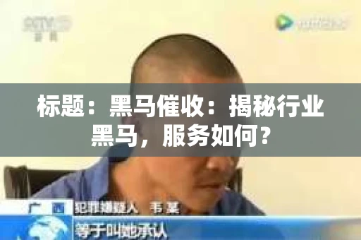 标题：黑马催收：揭秘行业黑马，服务如何？