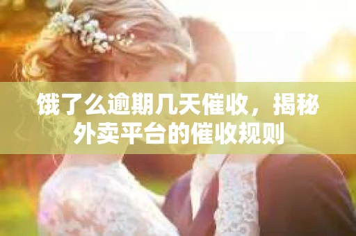 饿了么逾期几天催收，揭秘外卖平台的催收规则