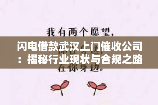 闪电借款武汉上门催收公司：揭秘行业现状与合规之路
