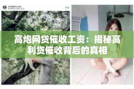 高炮网贷催收工资：揭秘高利贷催收背后的真相
