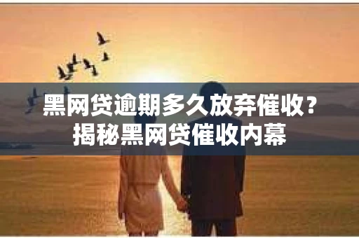 黑网贷逾期多久放弃催收？揭秘黑网贷催收内幕