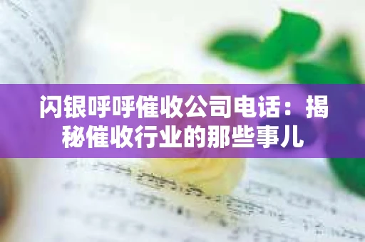 闪银呼呼催收公司电话：揭秘催收行业的那些事儿
