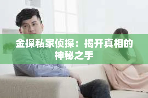 金探私家侦探:揭开真相的神秘之手 金探私家侦探:揭开真相的神秘之手
