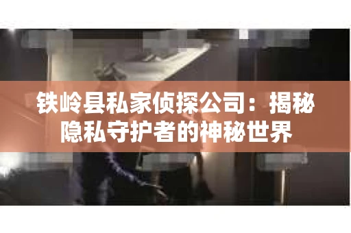 铁岭县私家侦探公司：揭秘隐私守护者的神秘世界