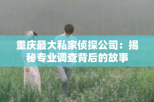 重庆最大私家侦探公司：揭秘专业调查背后的故事