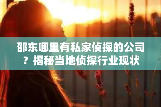 邵东哪里有私家侦探的公司？揭秘当地侦探行业现状