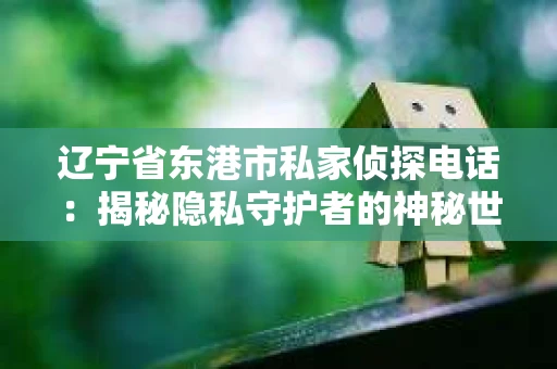 辽宁省东港市私家侦探电话：揭秘隐私守护者的神秘世界