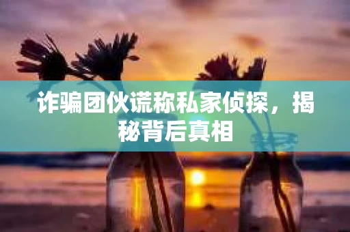 诈骗团伙谎称私家侦探，揭秘背后真相