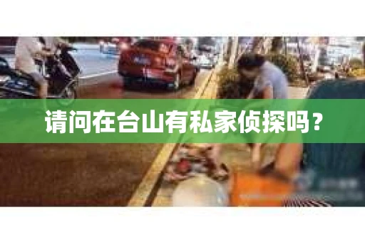 请问在台山有私家侦探吗？