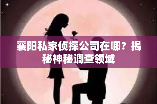 襄阳私家侦探公司在哪？揭秘神秘调查领域