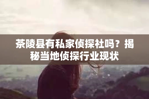 茶陵县有私家侦探社吗？揭秘当地侦探行业现状