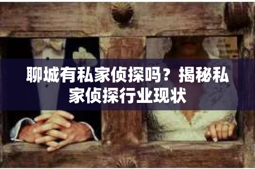 聊城有私家侦探吗？揭秘私家侦探行业现状