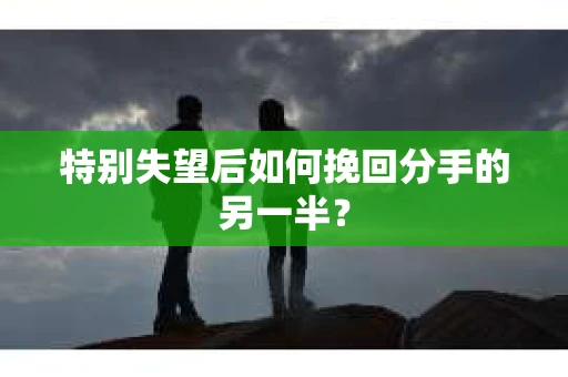 特别失望后如何挽回分手的另一半？