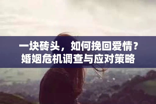 一块砖头,如何挽回爱情?婚姻危机调查与应对策略 一块砖头,如何挽回爱情?婚姻危机调查与应对策略