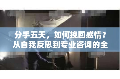 分手五天，如何挽回感情？从自我反思到专业咨询的全面解决方案