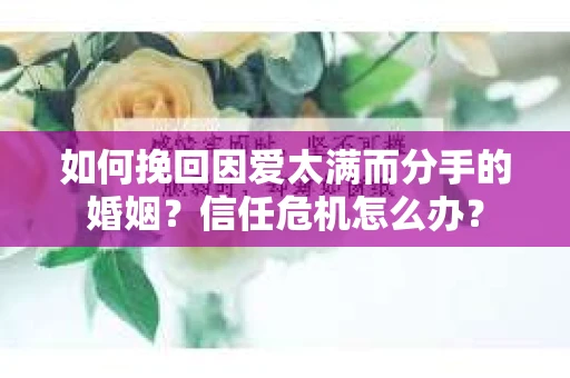 如何挽回因爱太满而分手的婚姻?信任危机怎么办? 如何挽回因爱太满而分手的婚姻?信任危机怎么办?