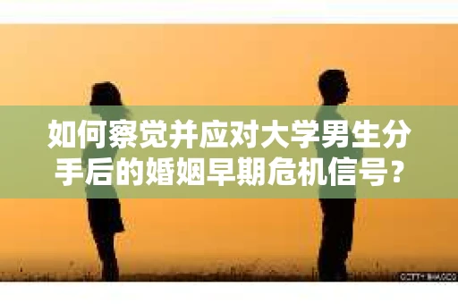如何察觉并应对大学男生分手后的婚姻早期危机信号？