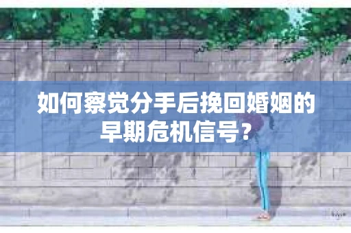 如何察觉分手后挽回婚姻的早期危机信号？