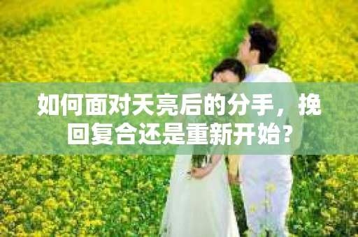 如何面对天亮后的分手，挽回复合还是重新开始？